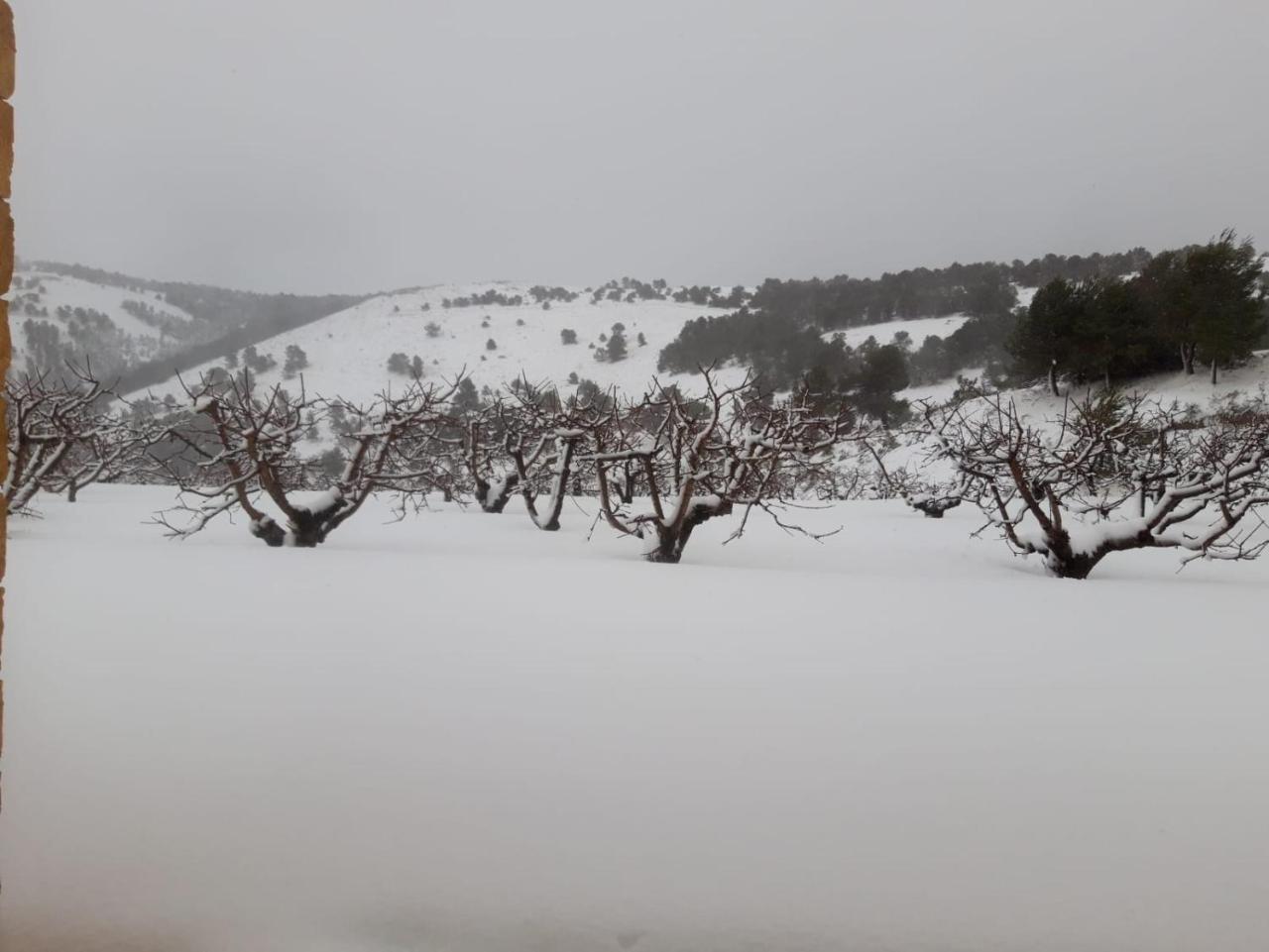 Finca la Foia El Pou — Confrides — photo 5