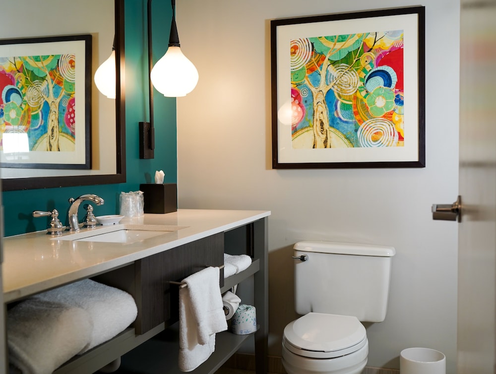 Hotel Indigo Atlanta Vinings by IHG - photo 42