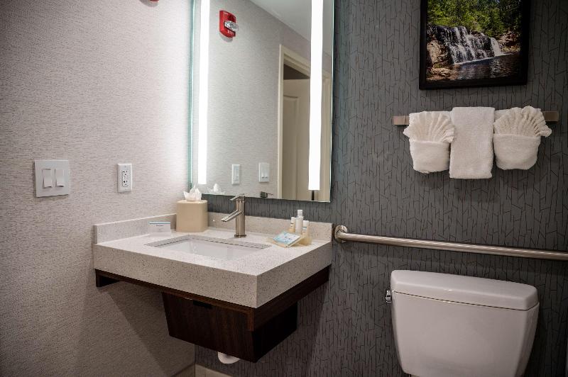 Hilton Garden Inn Fayetteville Fort Bragg - photo 93