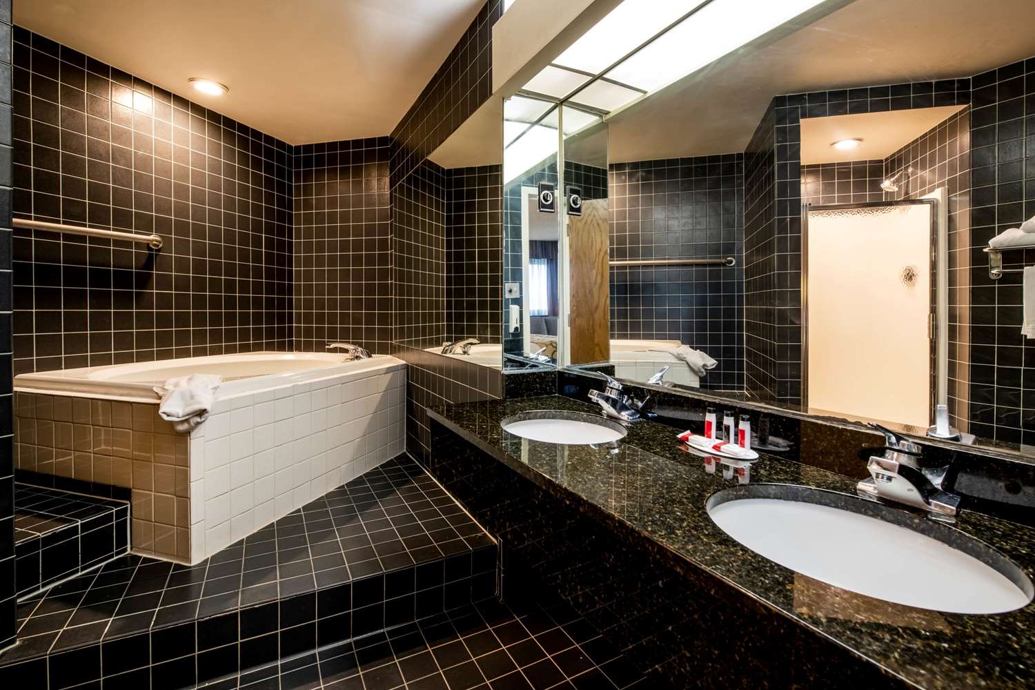 APM Inn and Suites - photo 34