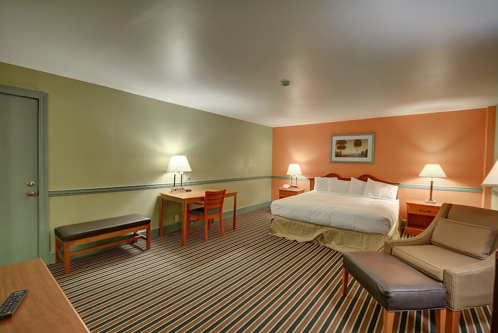 Colonial Motel And Spa - photo 5