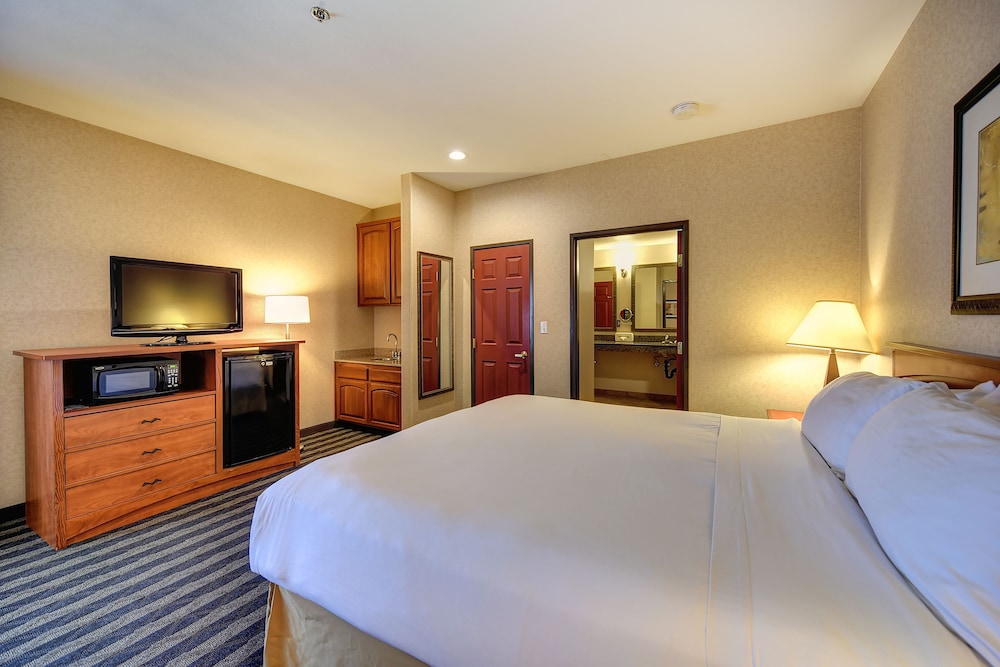 Holiday Inn Express Hotel & Suites Manteca by IHG - photo 3