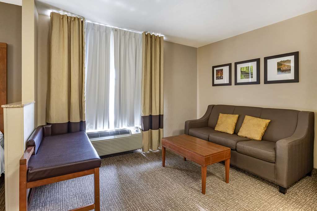 Comfort Suites Coralville I 80 - photo 16