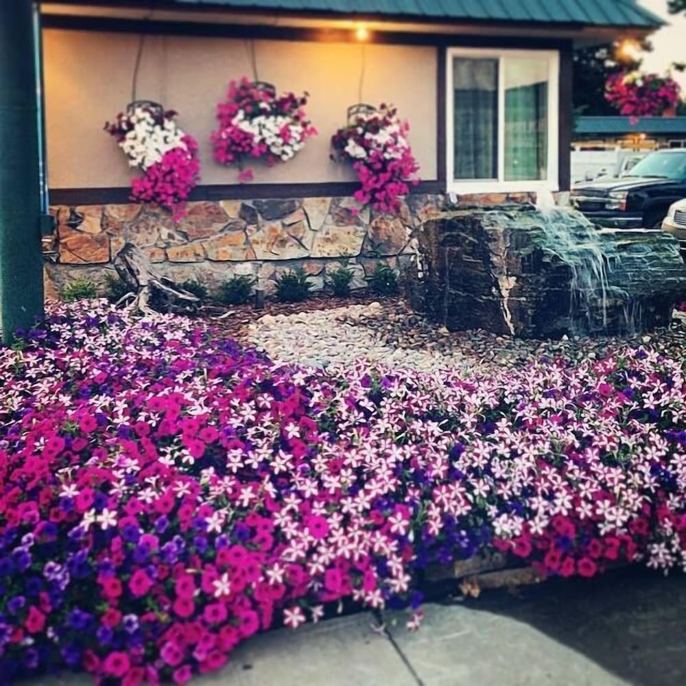 Evergreen Motel - photo 52
