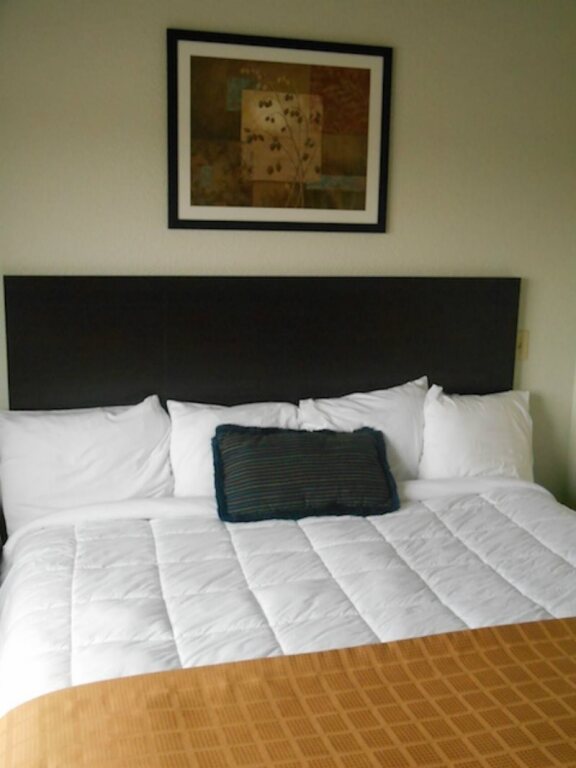 Altenhofen Inn & Suites - photo 8