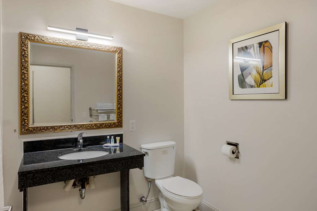 Comfort Inn & Suites Mt. Laurel Philadelphia - photo 23