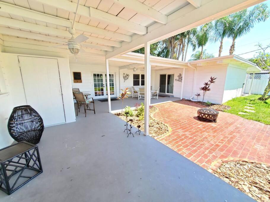 Large beautiful Magnolia in the sunny Saint Pete. in St. Petersburg, United States