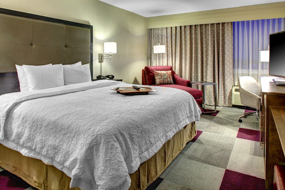 Hampton Inn Miami Coconut Grove Coral Gables - photo 12