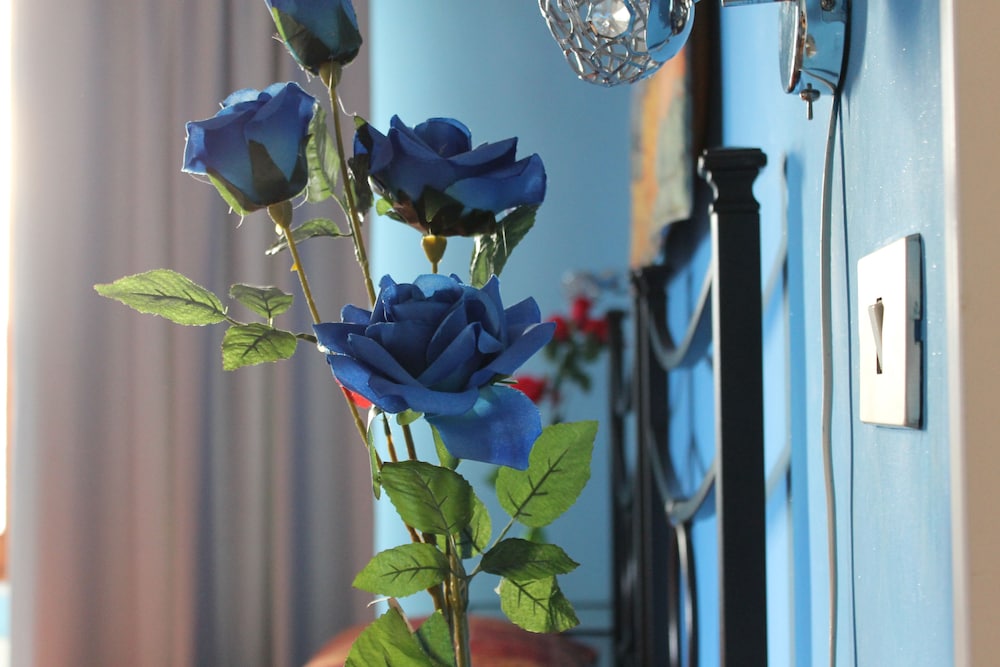 B&B Basilica Square — 4-Star Luxury Hotel in Rome, Italy