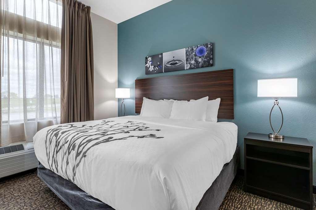 Sleep Inn Waukee West Des Moines - photo 5