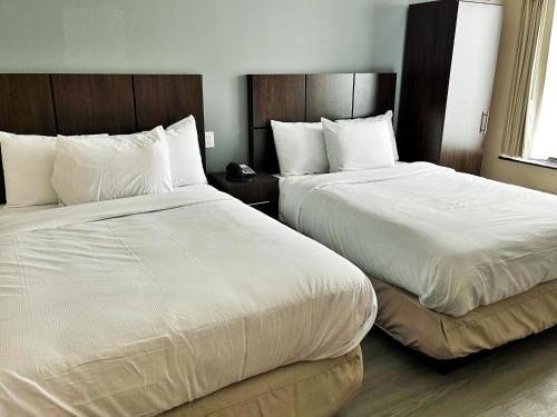 Hotel 21 Nyc - photo 8