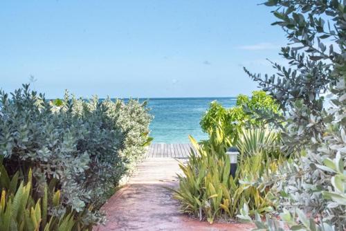 Pasha Ocean View — 4-Star Luxury Hotel in Sainte-Anne, Guadeloupe