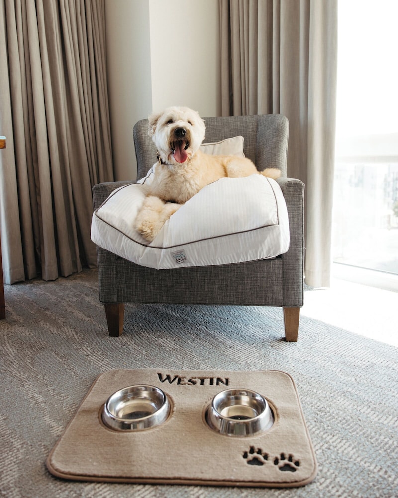 The Westin Austin at The Domain - photo 101