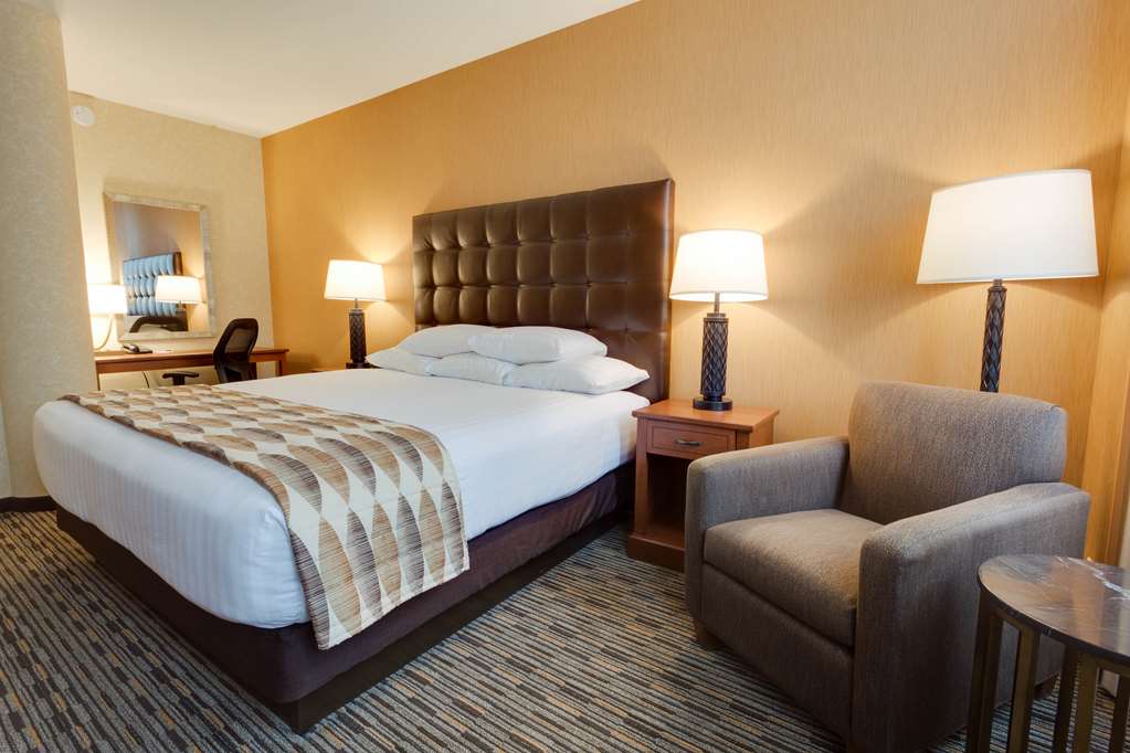 Drury Plaza Hotel St. Louis at the Arch - photo 14