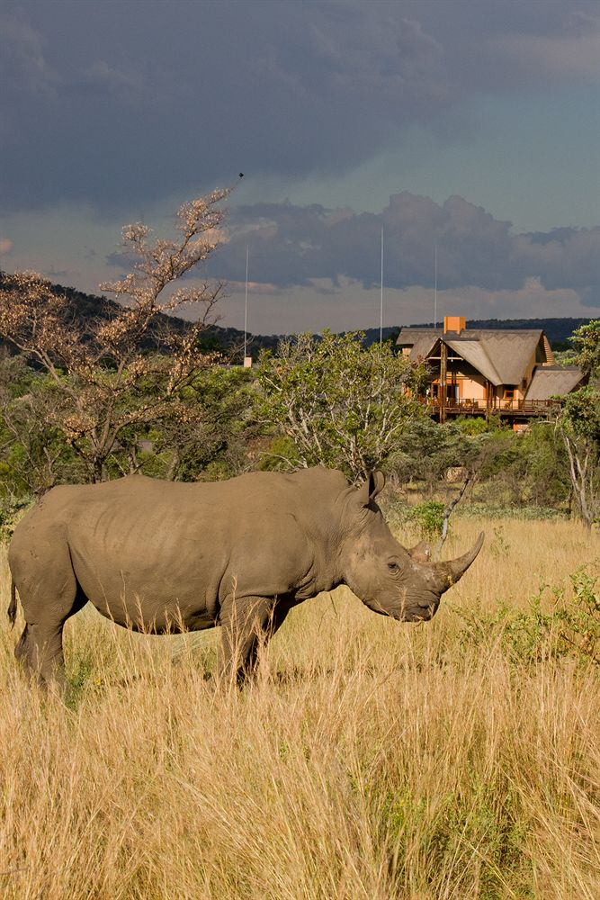 Kololo Game Reserve in Thabazimbi, South Africa