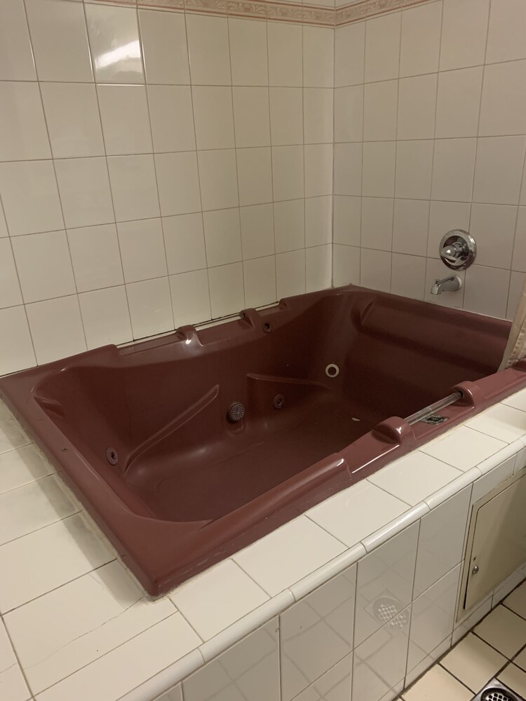 Grandpark Inn - photo 3