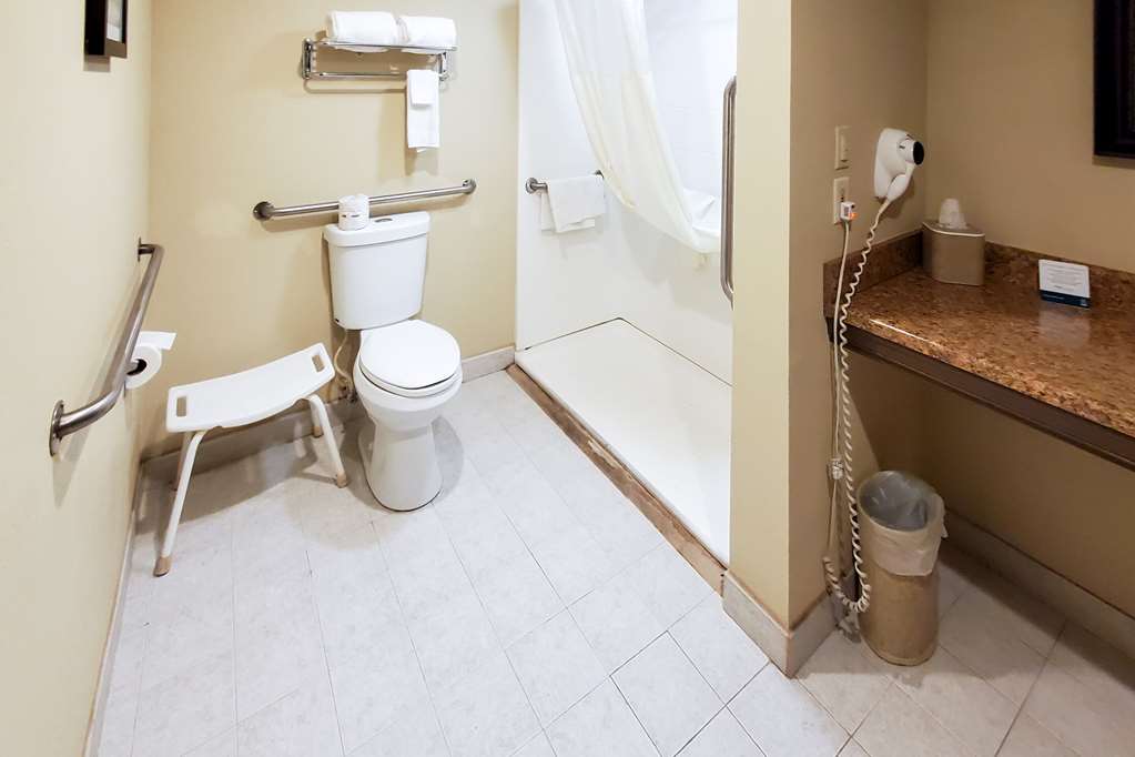 Quality Inn & Suites Quakertown Allentown - photo 18