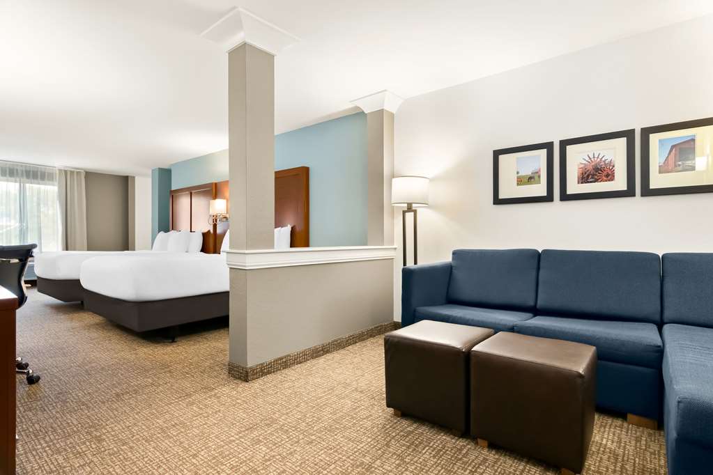 Comfort Suites Rensselaer near Fair Oaks - photo 18