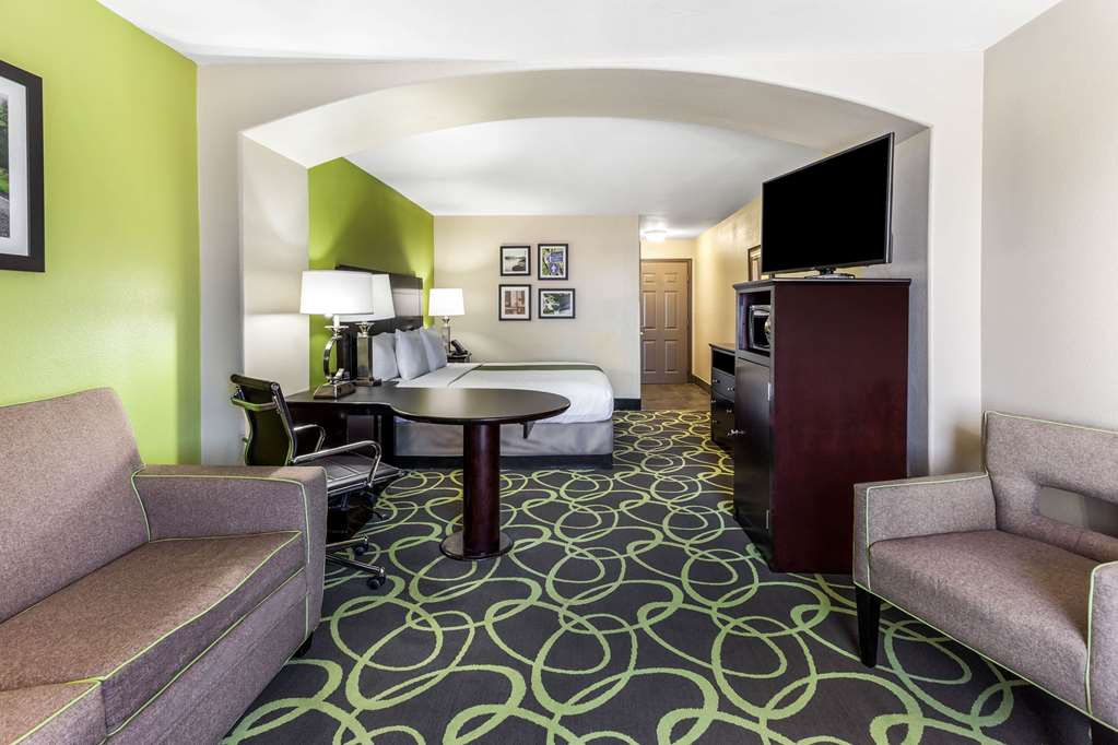 La Quinta Inn & Suites by Wyndham New Braunfels - photo 39