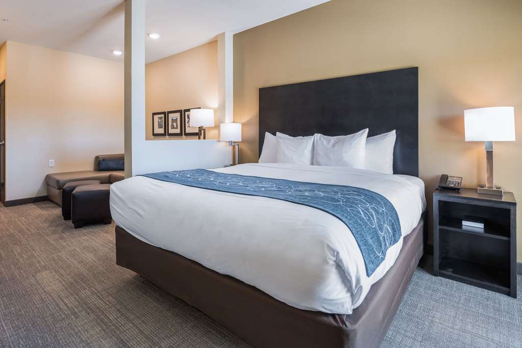 Comfort Suites Marysville Columbus Northwest - photo 22