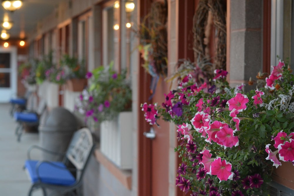Lariat Motel - photo 38