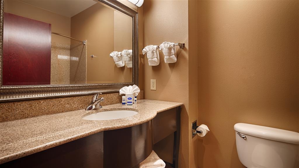 Best Western Lamesa Inn & Suites - photo 11