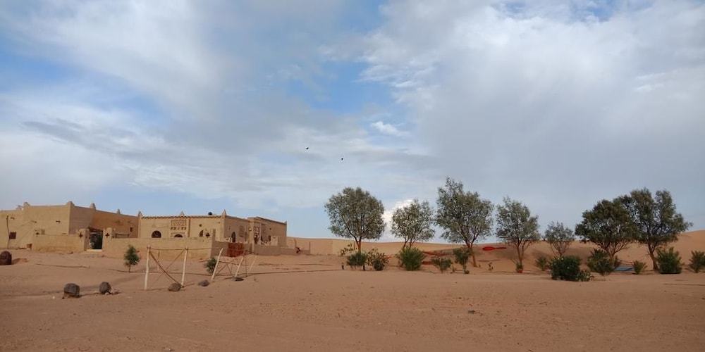 Sandfisch in Recani, Morocco