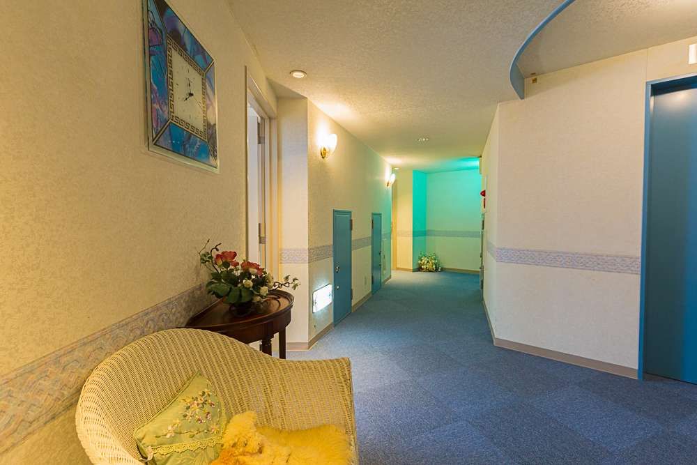 Hotel Marseille - carbon neutral hotel in Shimoda