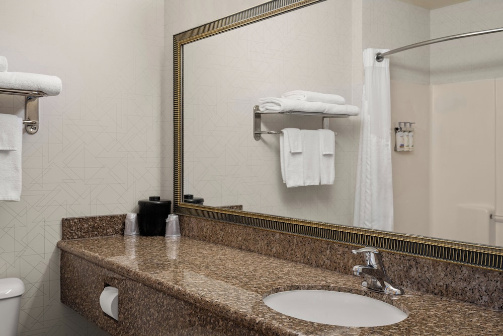 Holiday Inn Express & Suites New Buffalo by IHG - photo 20