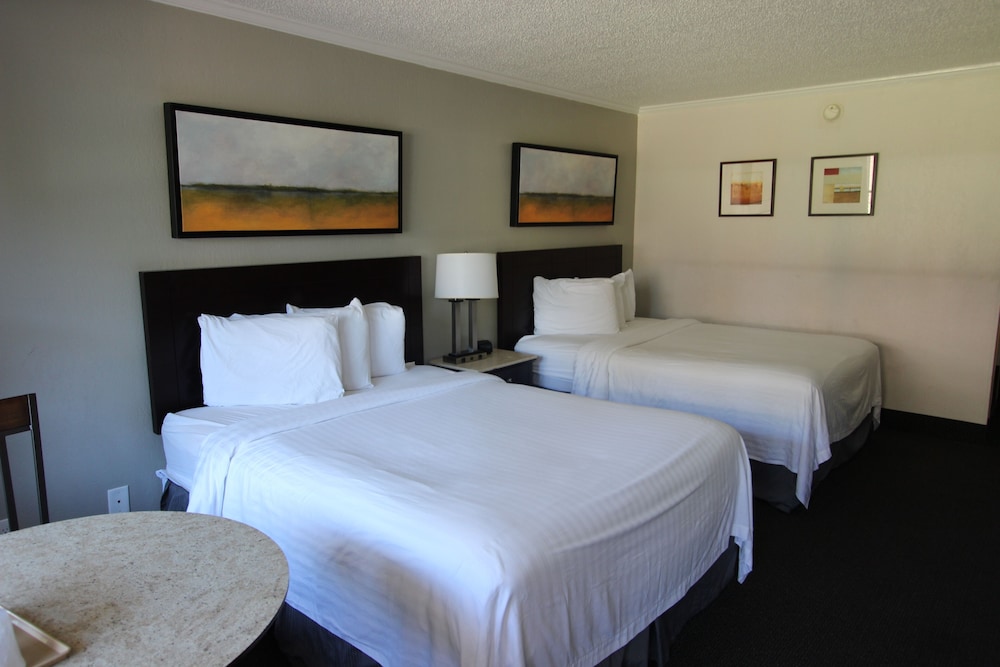 At Home Inn & Suites - photo 18