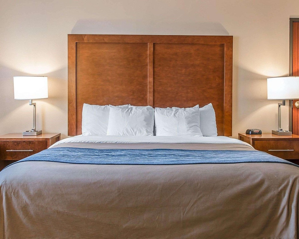 Bluffton Inn & Suites By IHG - photo 24