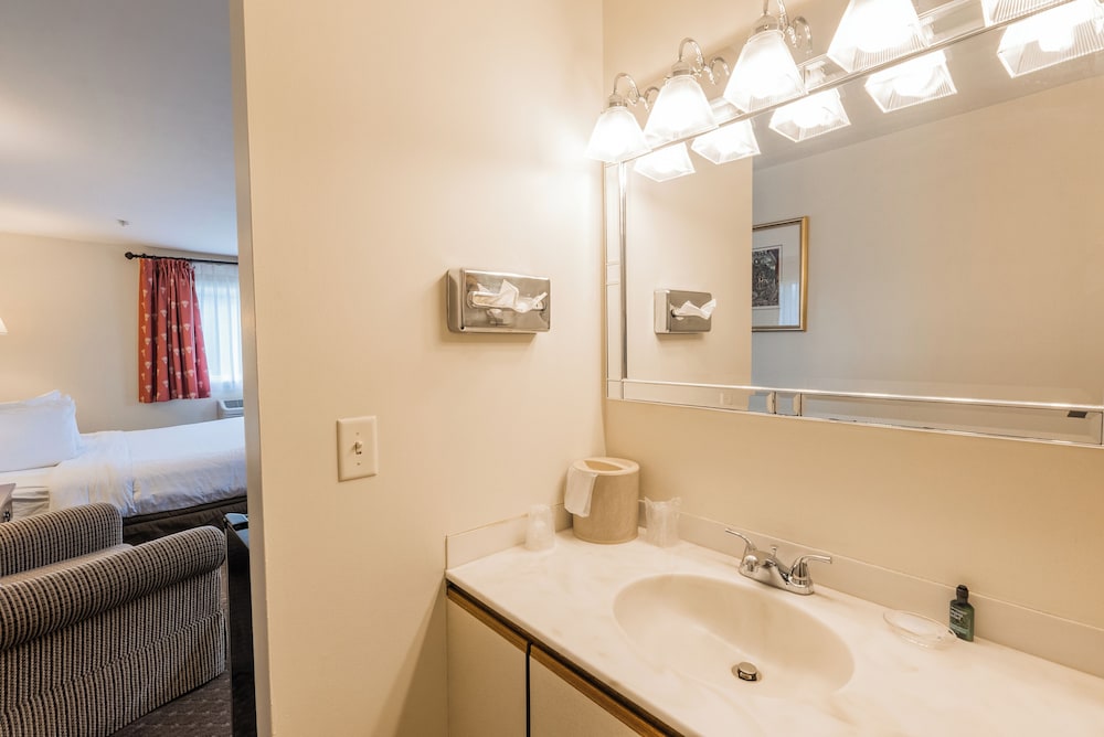 Senator Inn & Spa - photo 83