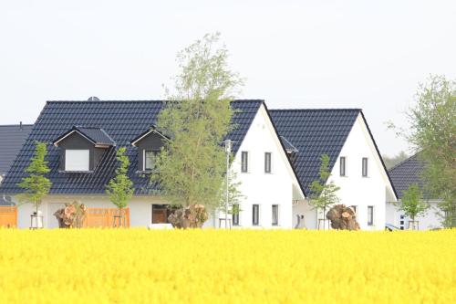 FH Backbord in Nienhagen, Germany