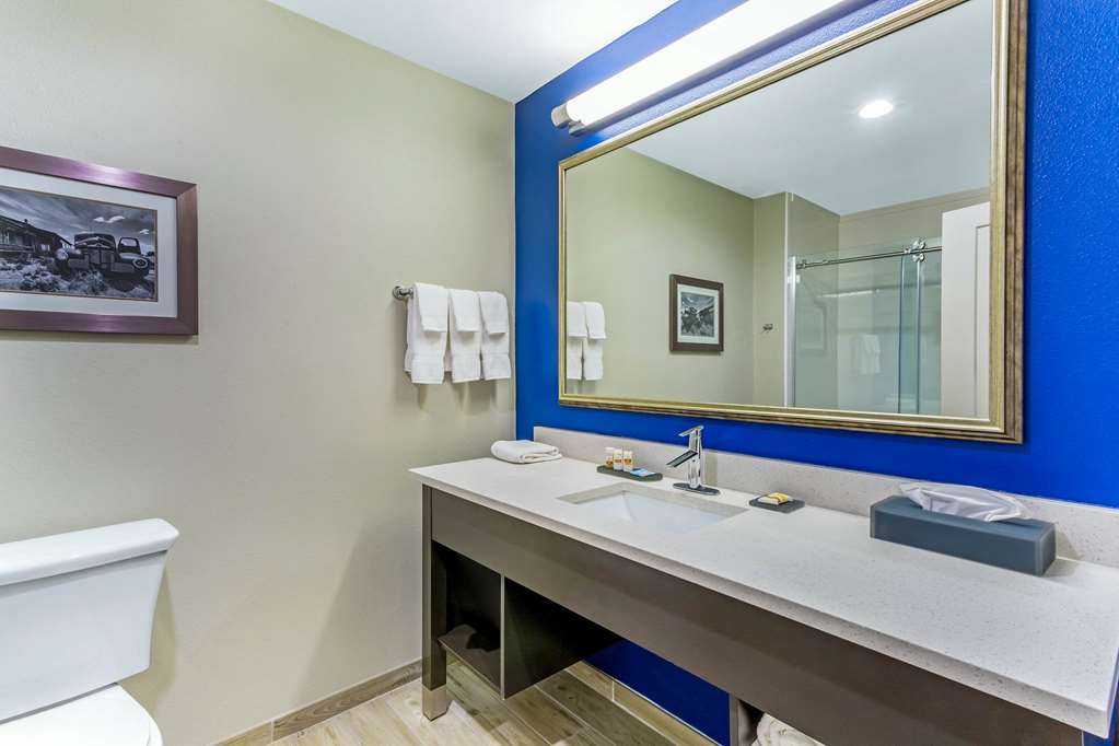 La Quinta Inn & Suites by Wyndham Odessa N. Sienna Tower - photo 26