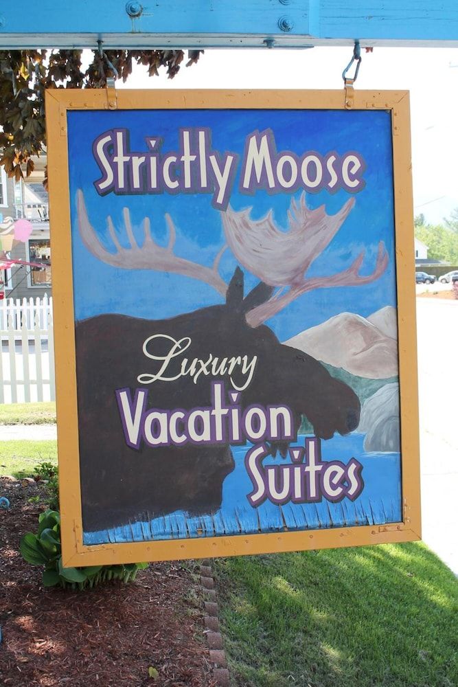 Strictly Moose Luxury Vacation Suites - photo 12