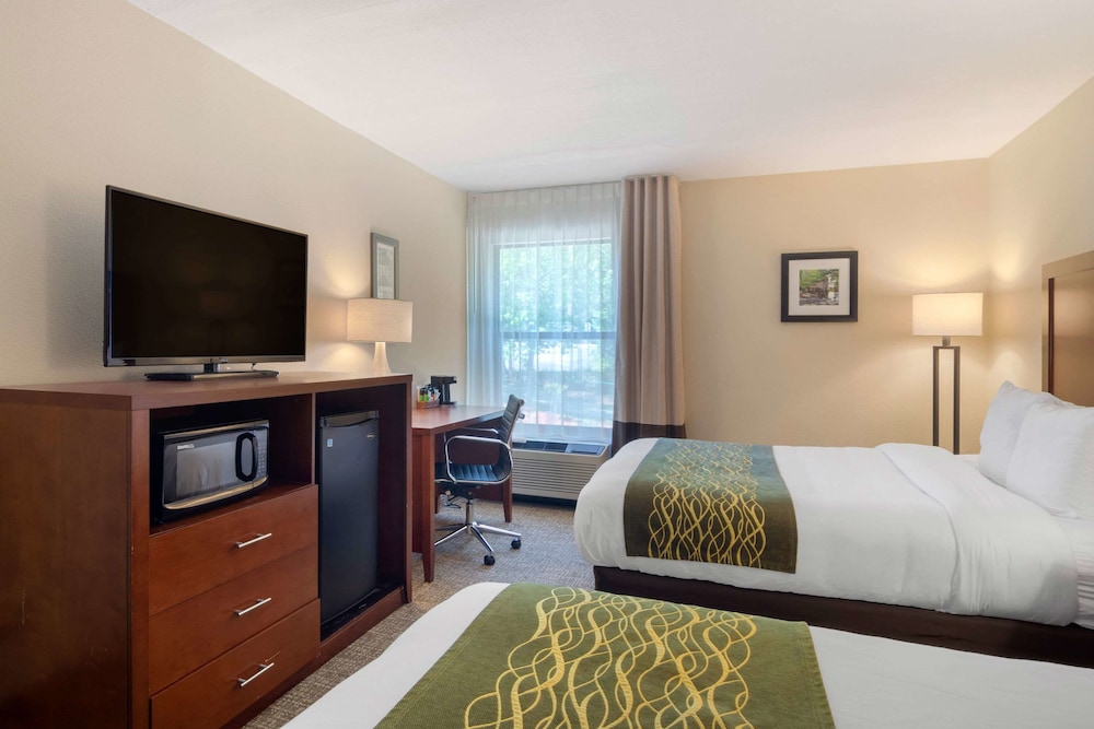 Comfort Inn Douglasville Atlanta West - photo 8