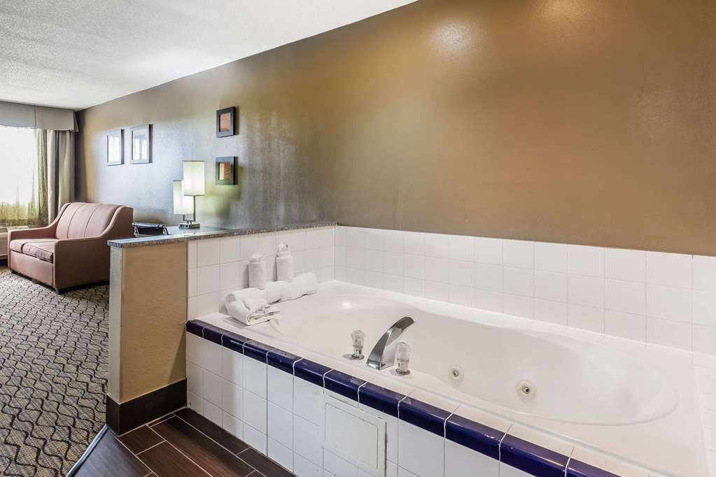 Comfort Inn & Suites Crystal Inn Sportsplex - photo 25