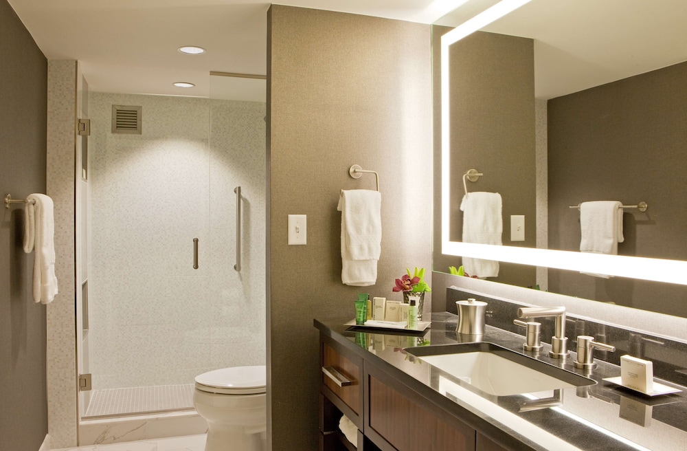Hilton Nashville Downtown - photo 25