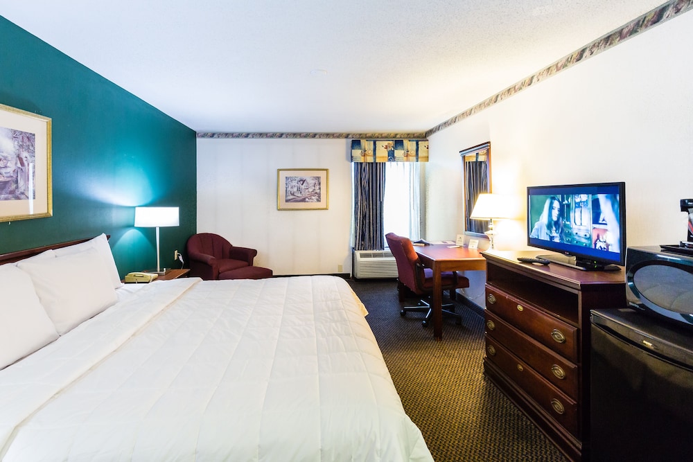 The View Inn & Suites - photo 9
