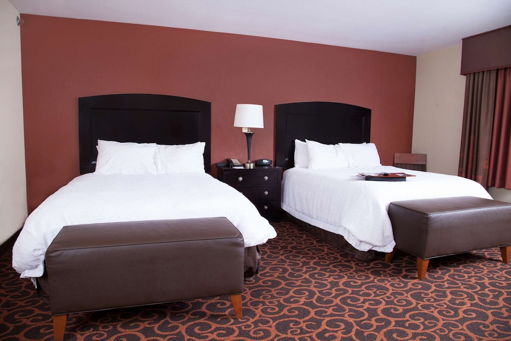 Hampton Inn & Suites Dickinson - photo 29