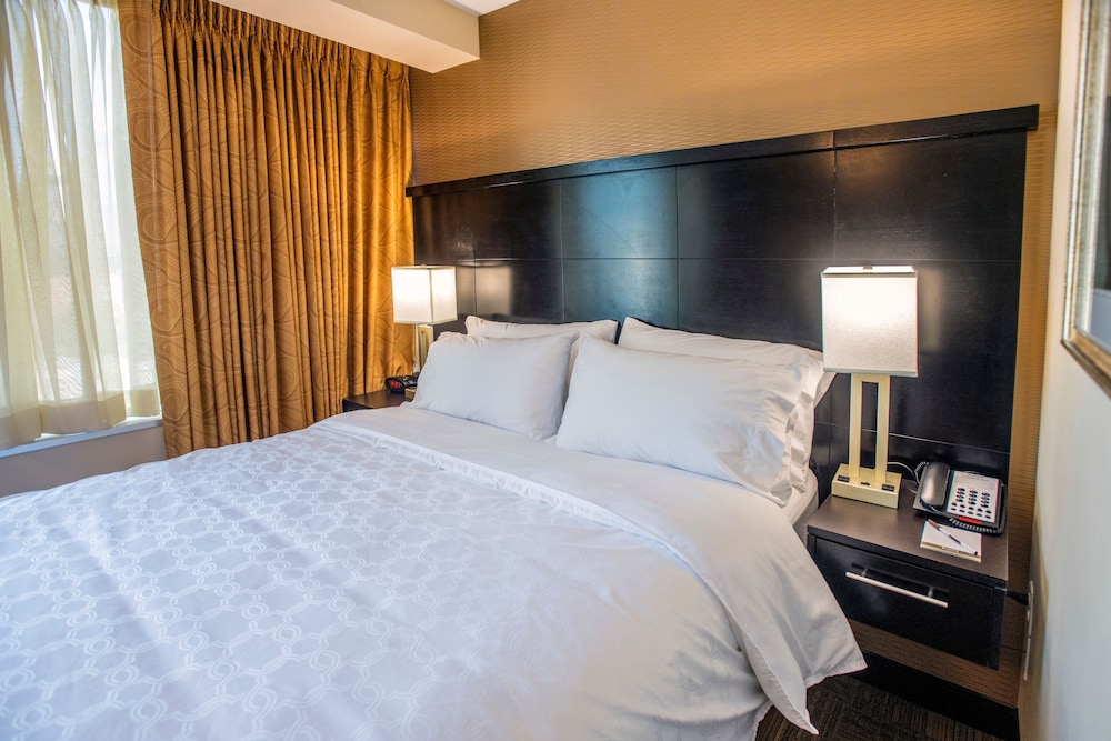 Staybridge Suites Denver Downtown by IHG - photo 10
