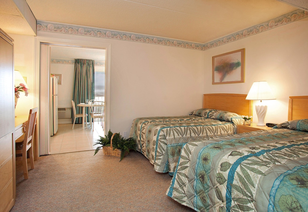 Lotus Inn - photo 37