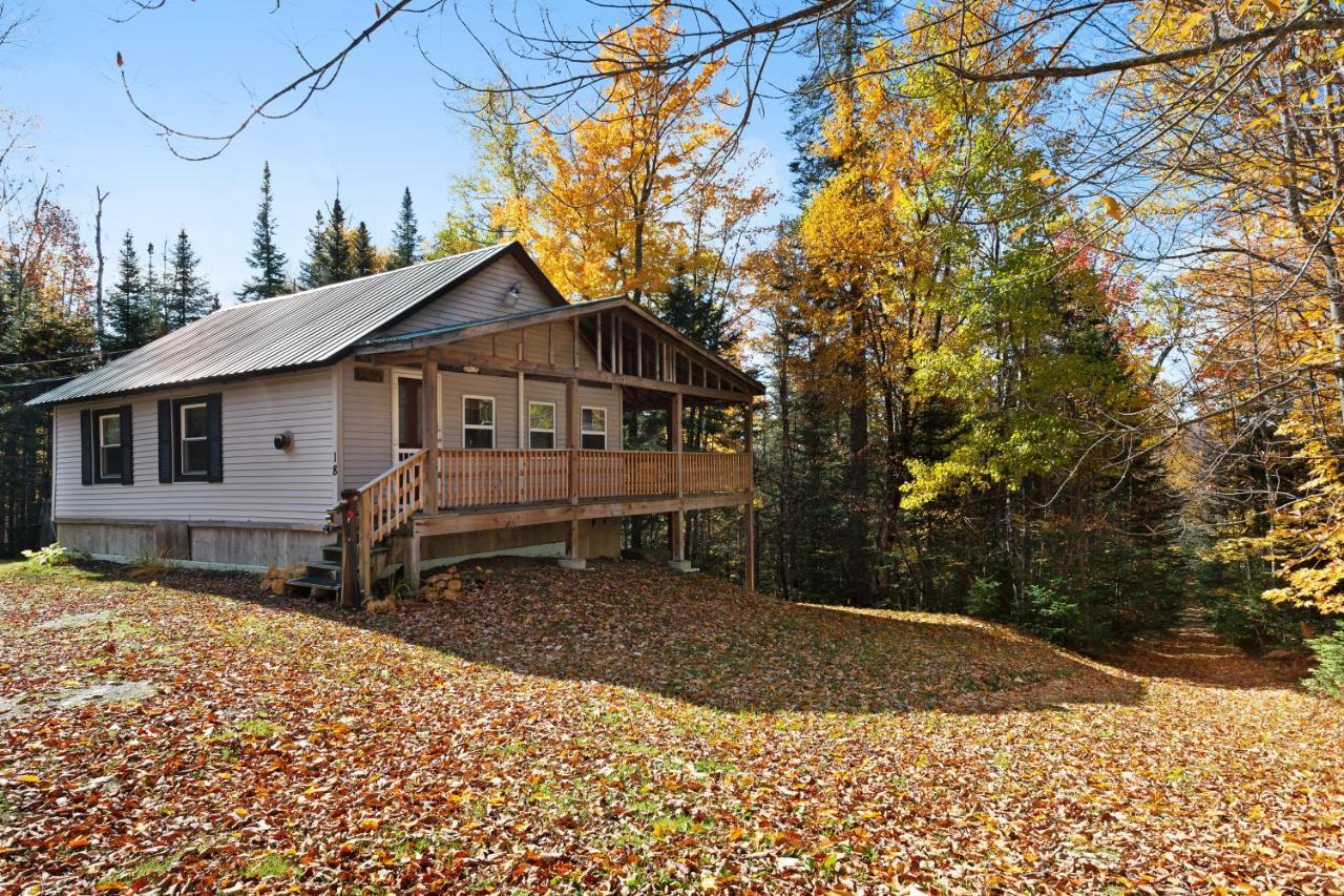 Lily’s Pad in Greenville, United States