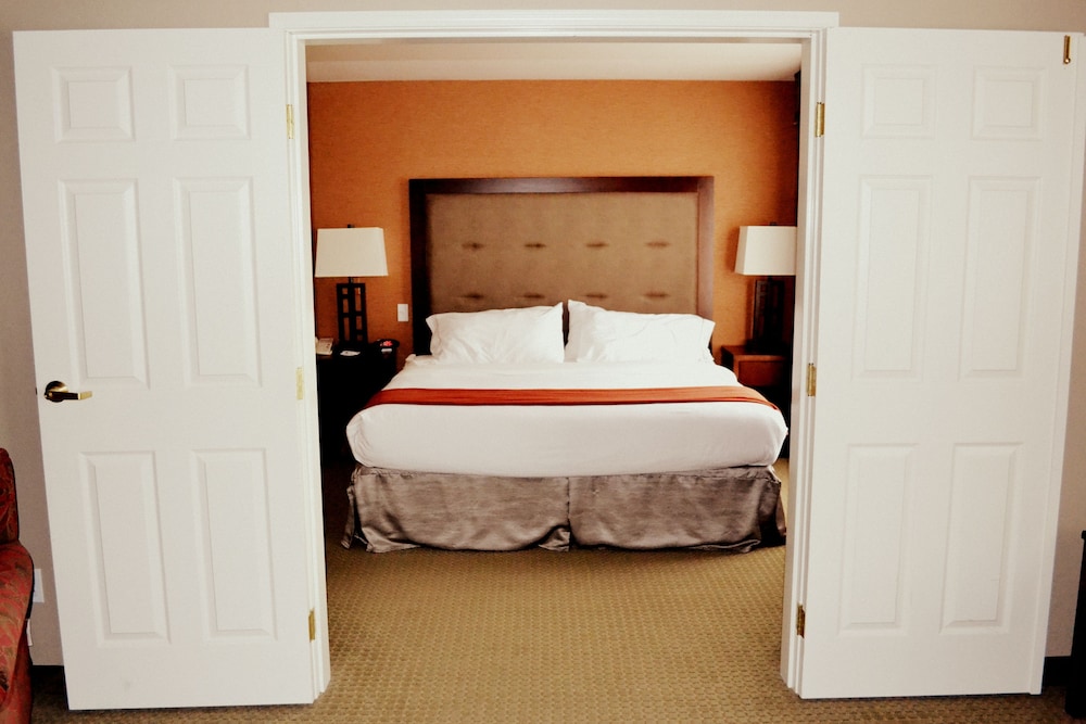 Holiday Inn Express Hotel & Suites Bozeman West by IHG - photo 8