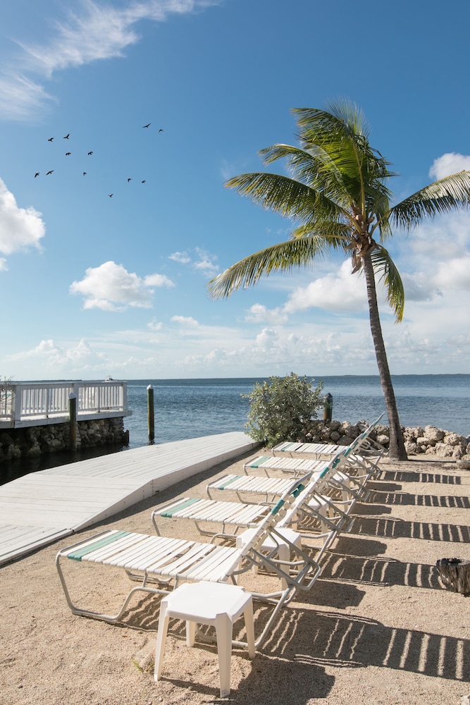 Amoray Dive Resort - photo 157