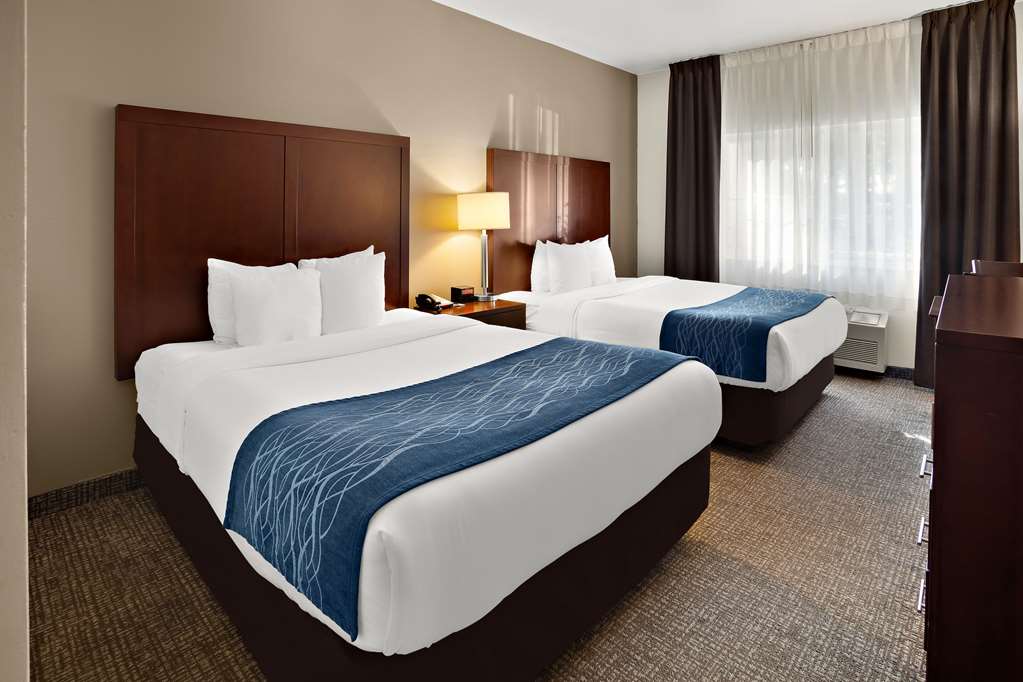 Comfort Inn Lacey Olympia - photo 14