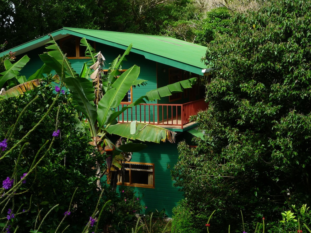 Hospedaje Mariposa in Monteverde, Costa Rica