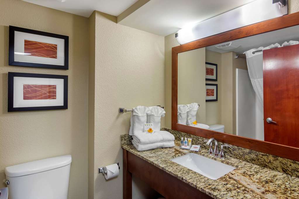 Comfort Inn & Suites LaGrange East - photo 10