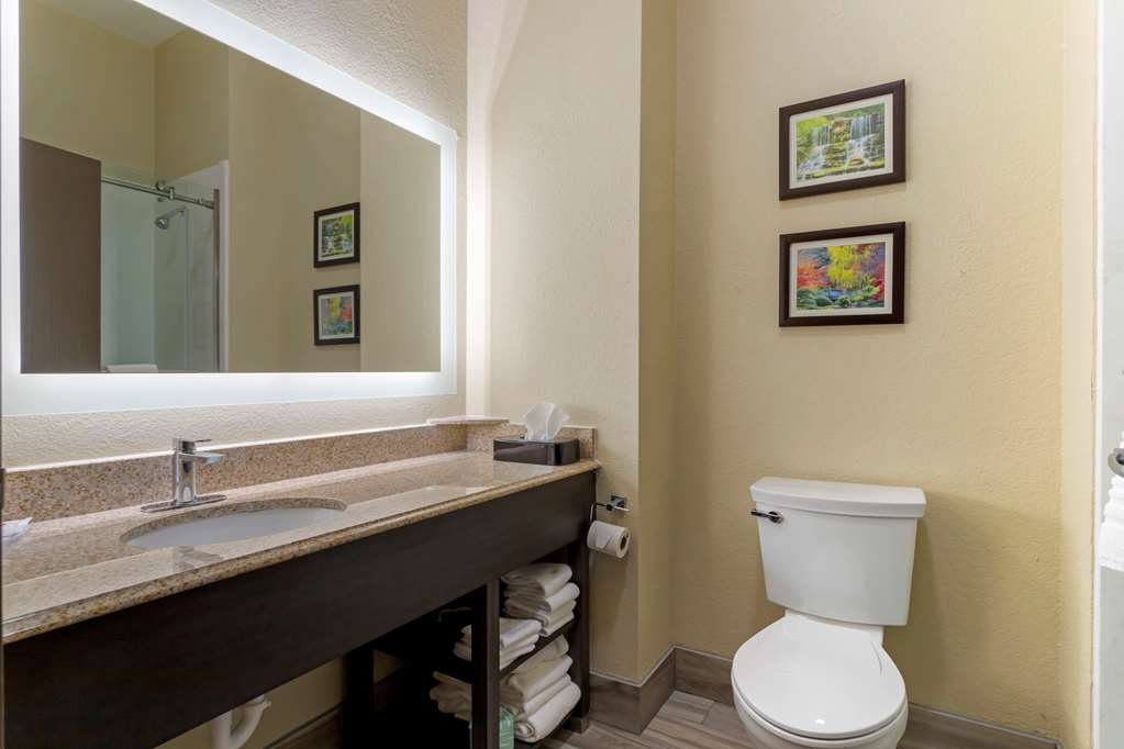 Comfort Suites Kingwood Houston North - photo 18