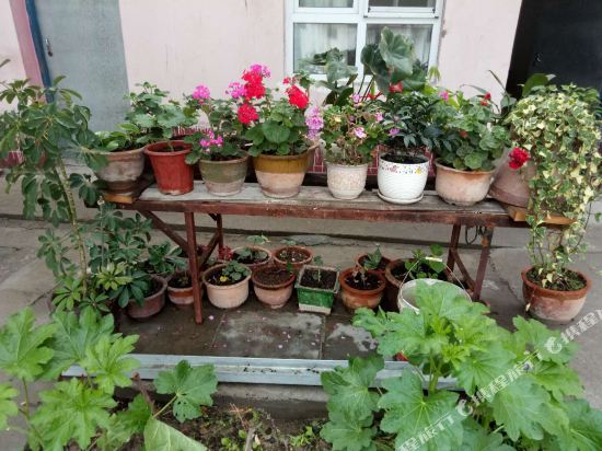 Yan qiwu hotel in Tokkuztara, People's Republic of China